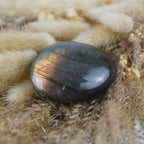 Labradorit Trommelstein mit goldenem Farbspiel auf beigen Trockenpflanzen