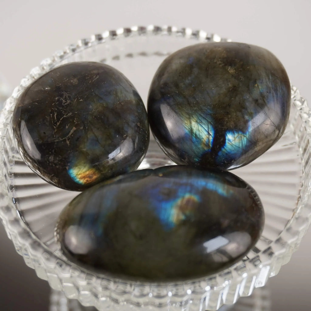 Drei Labradorit Trommelsteine mit intensivem blaugrünem Schimmer in einem gläsernen Kelch