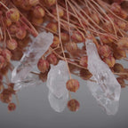 Drei lemurianische Quarz Spitzen vor rosafarbenen Trockenblumen arrangiert