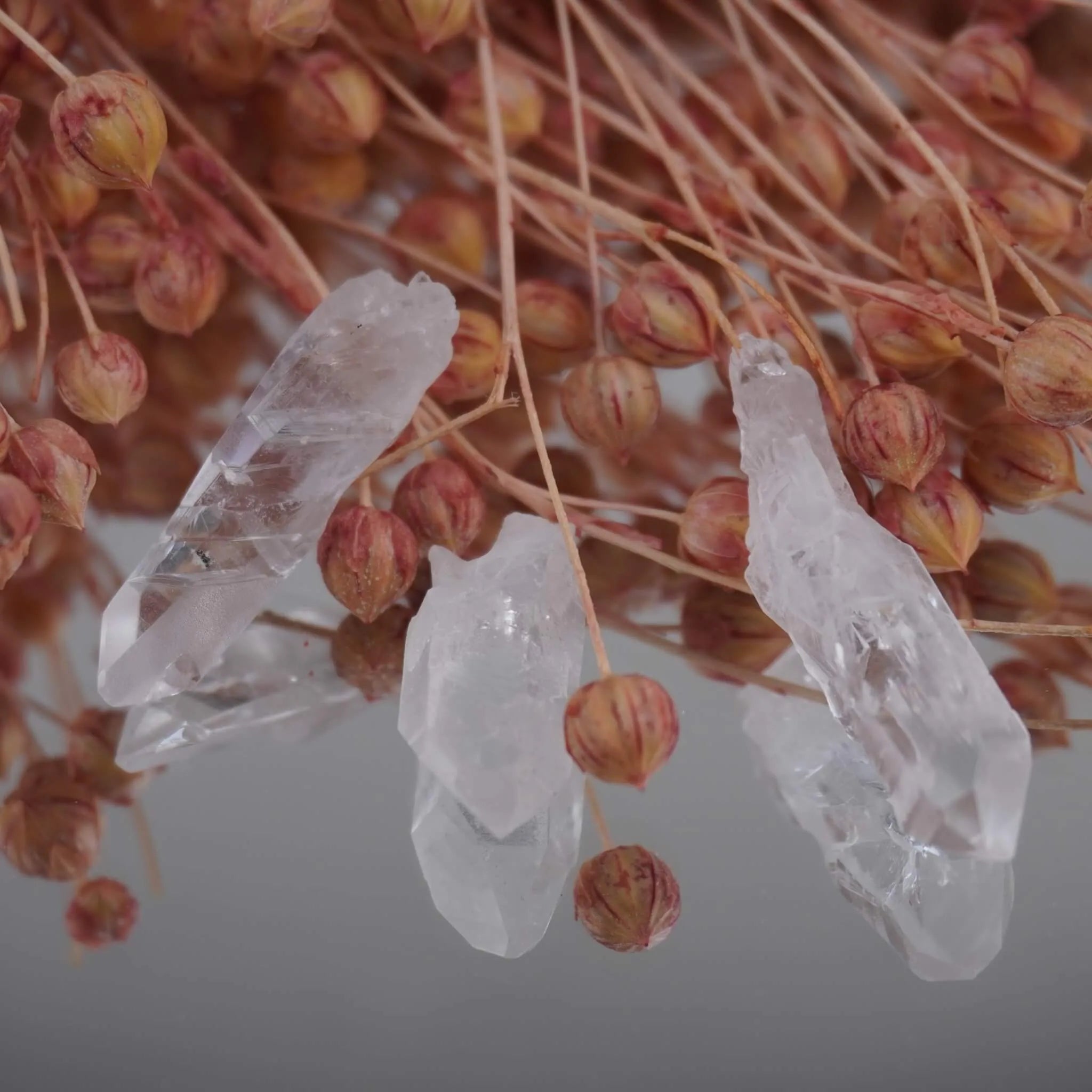 Drei lemurianische Quarz Spitzen vor rosafarbenen Trockenblumen arrangiert