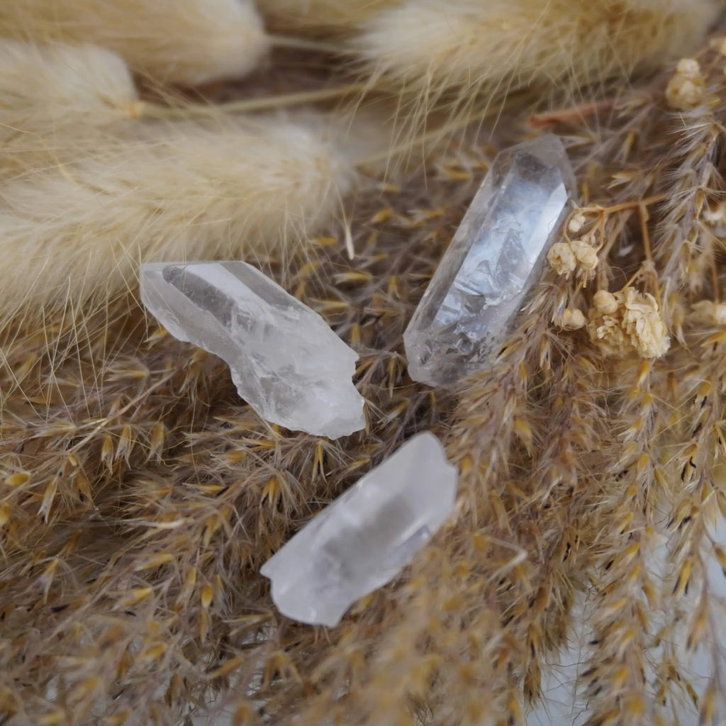 Drei lemurianische Quarz Spitzen zwischen beigen Trockenblumen dekoriert