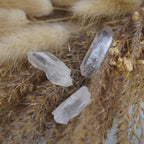 Drei lemurianische Quarz Spitzen zwischen beigen Trockenblumen dekoriert