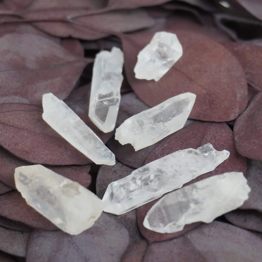 Lemurianische Quarz Spitzen auf violetten Blättern ausgebreitet