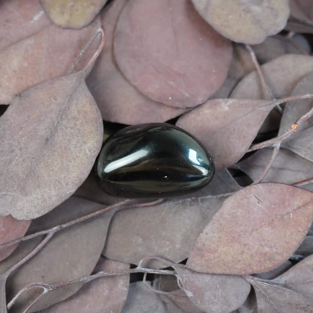 Obsidian Trommelstein auf trockenen Blättern