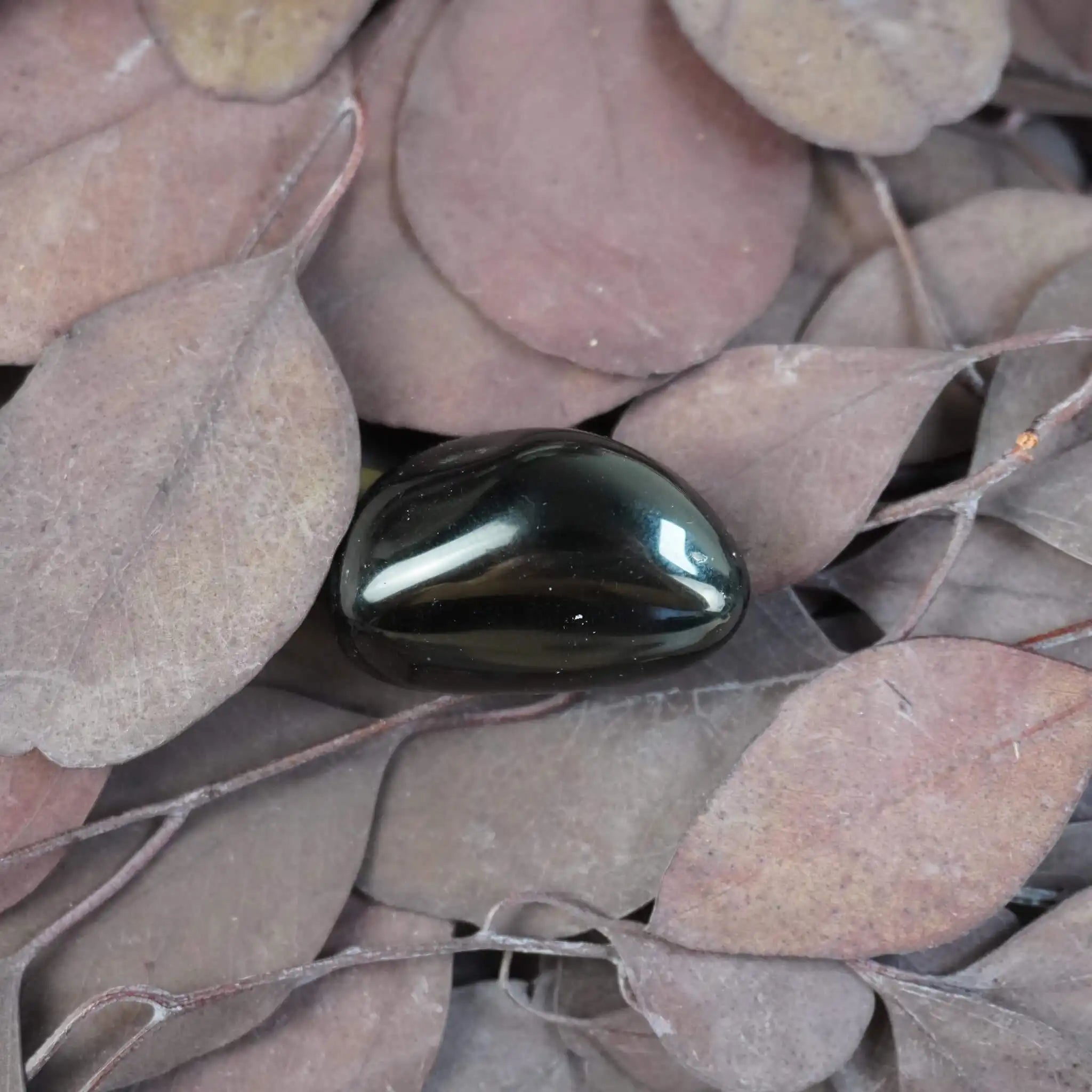 Obsidian Trommelstein auf trockenen Blättern