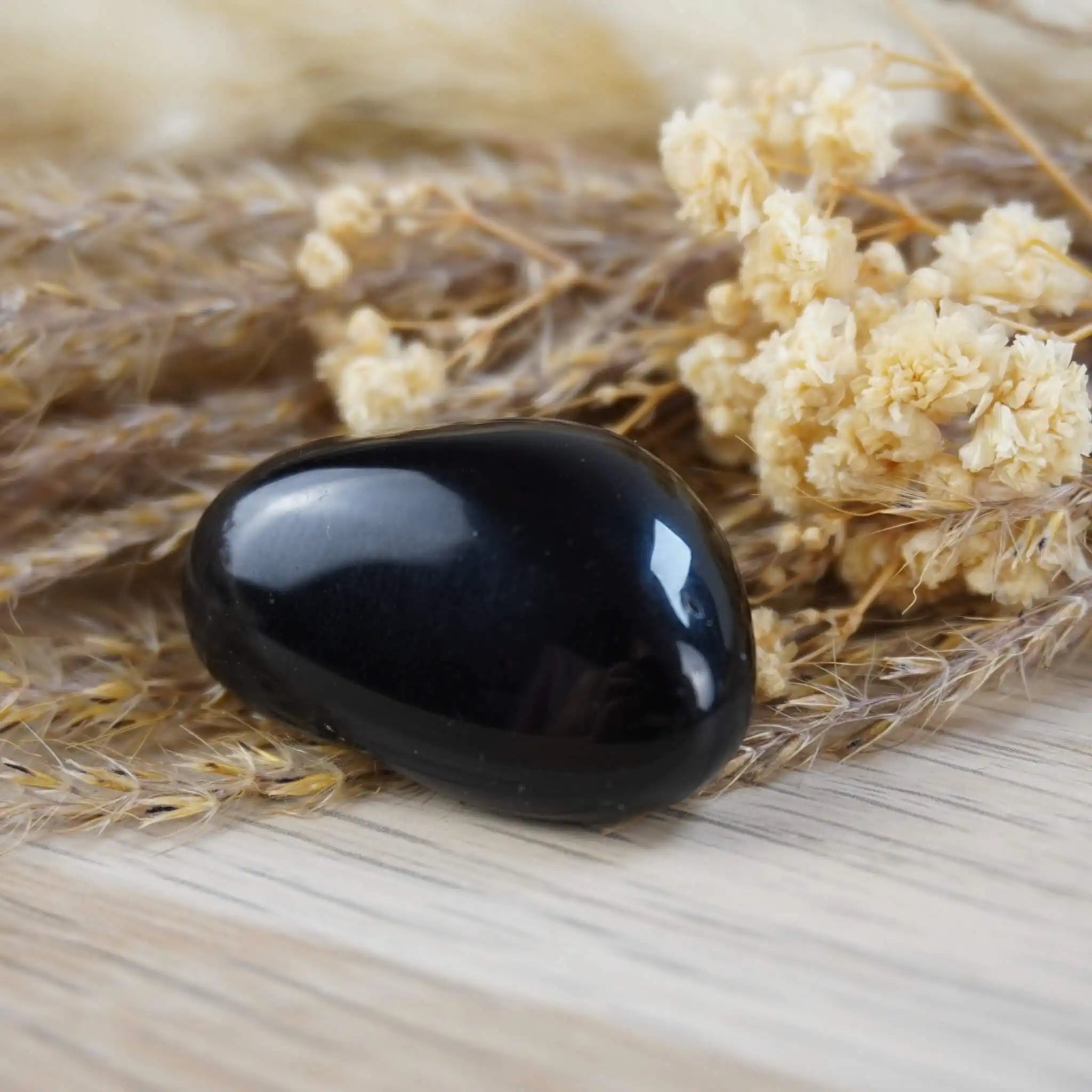 Obsidian Trommelstein auf getrockneten Gräsern und Blüten