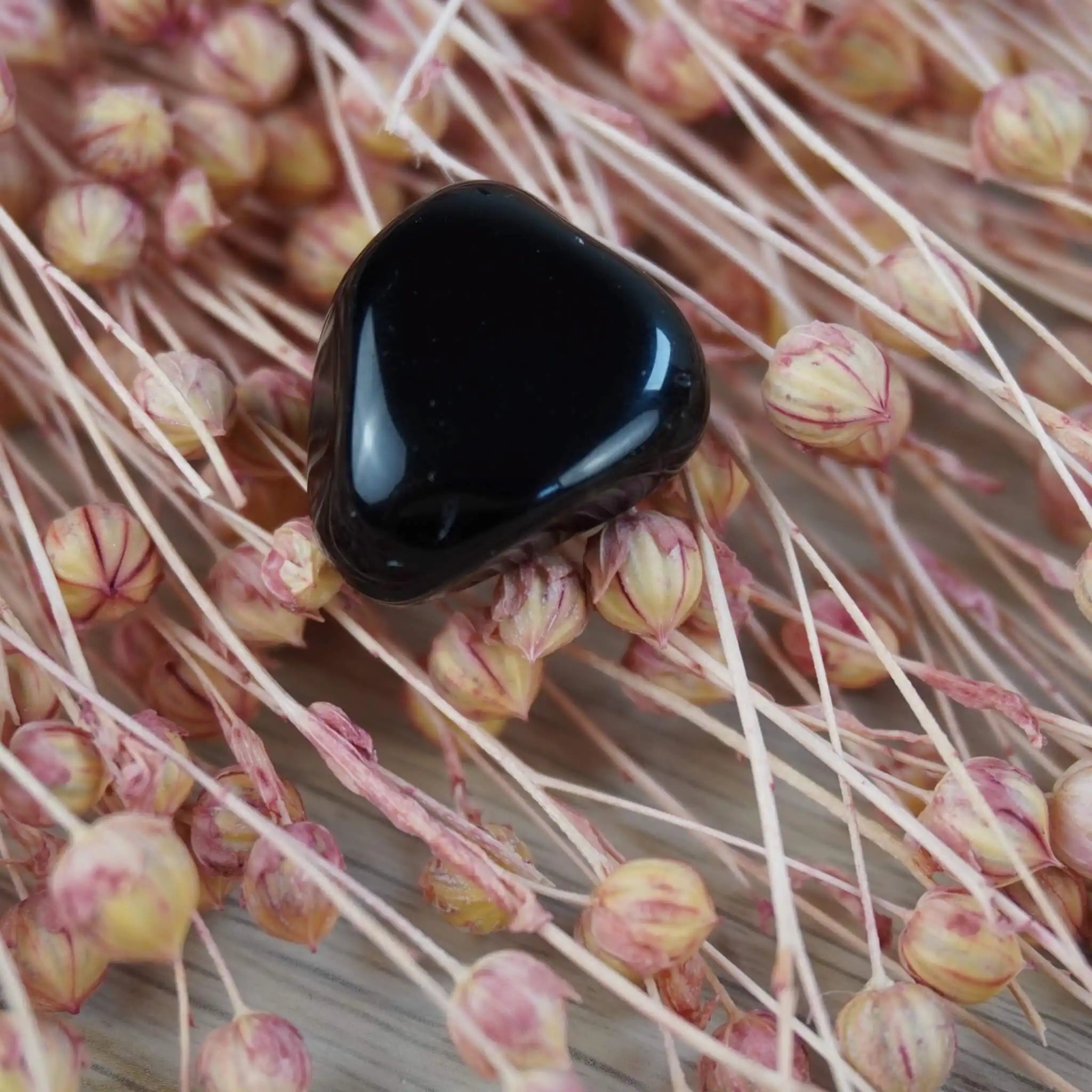 Obsidian Trommelstein zwischen getrockneten Blütenständen