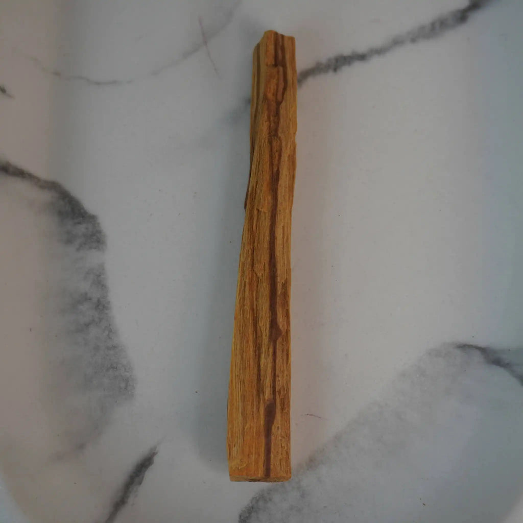 Palo Santo Stick einzeln auf hellem Untergrund