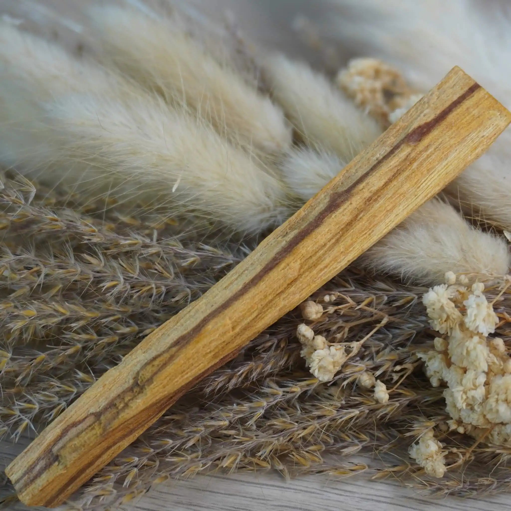Palo Santo Holz auf Gräsern und Trockenblumen arrangiert