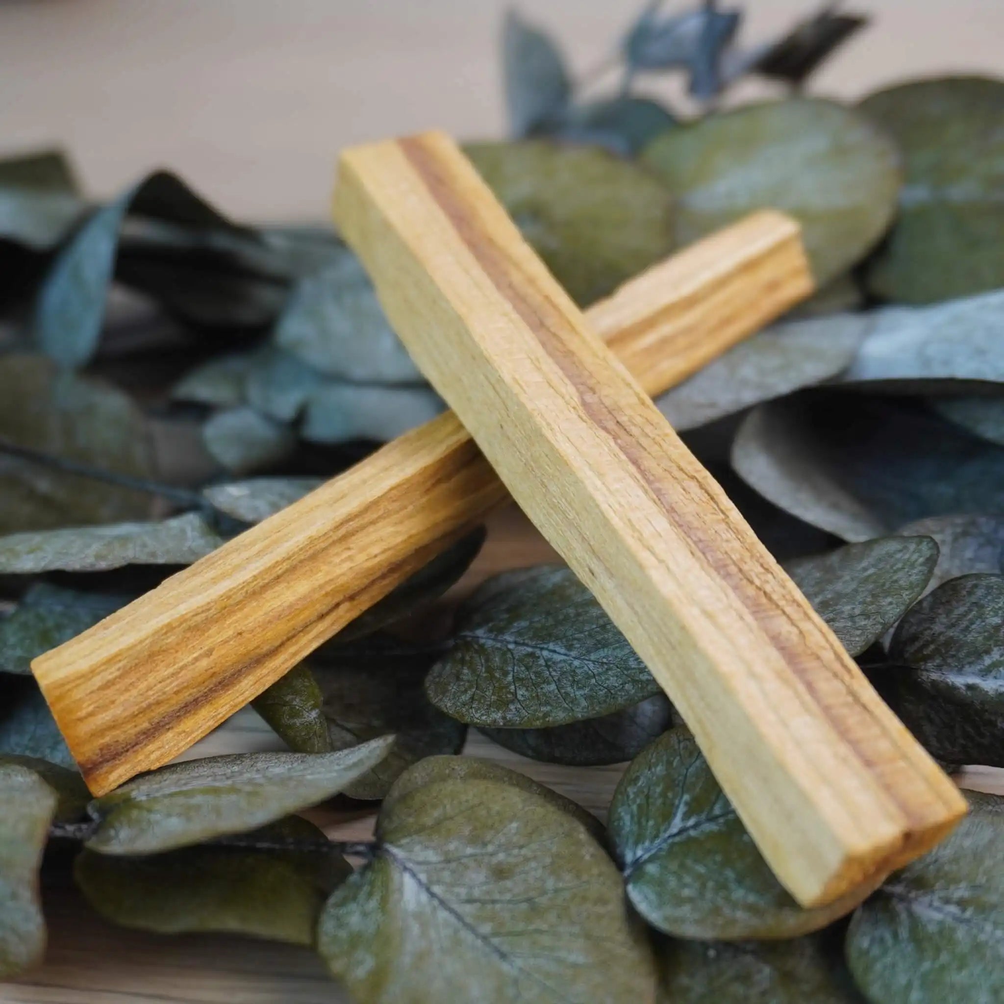 Zwei Palo Santo Hölzer auf grünen dekorativen Blättern