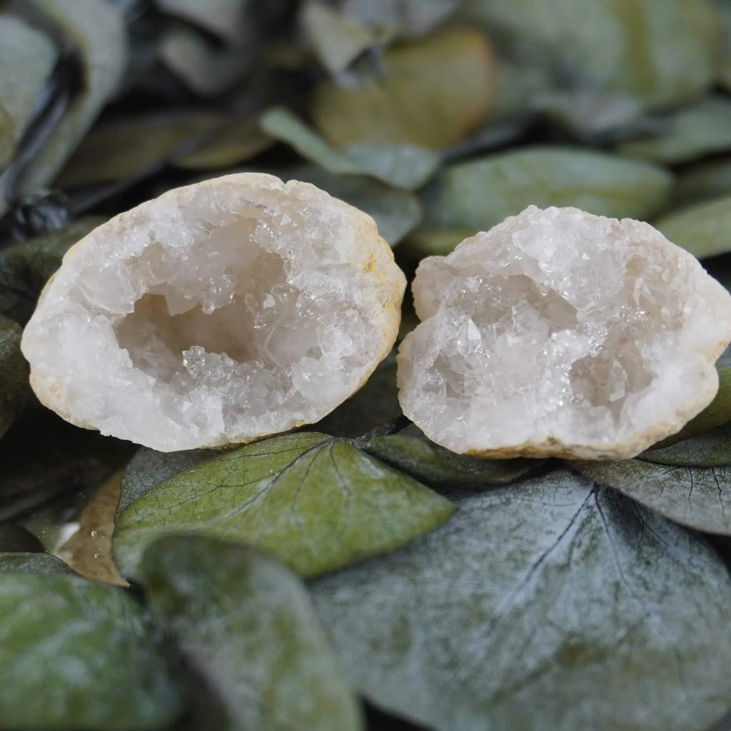 Zwei Quarz Geoden mit Kristallhöhle dekoriert auf grünen Eukalyptusblättern