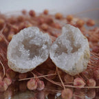 Zwei geöffnete Quarz Geoden mit klaren Kristallen auf rosa Trockenblumen