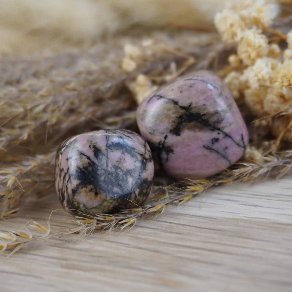 Zwei Rhodonit Trommelsteine zwischen getrockneten Naturpflanzen