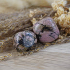 Zwei Rhodonit Trommelsteine zwischen getrockneten Naturpflanzen