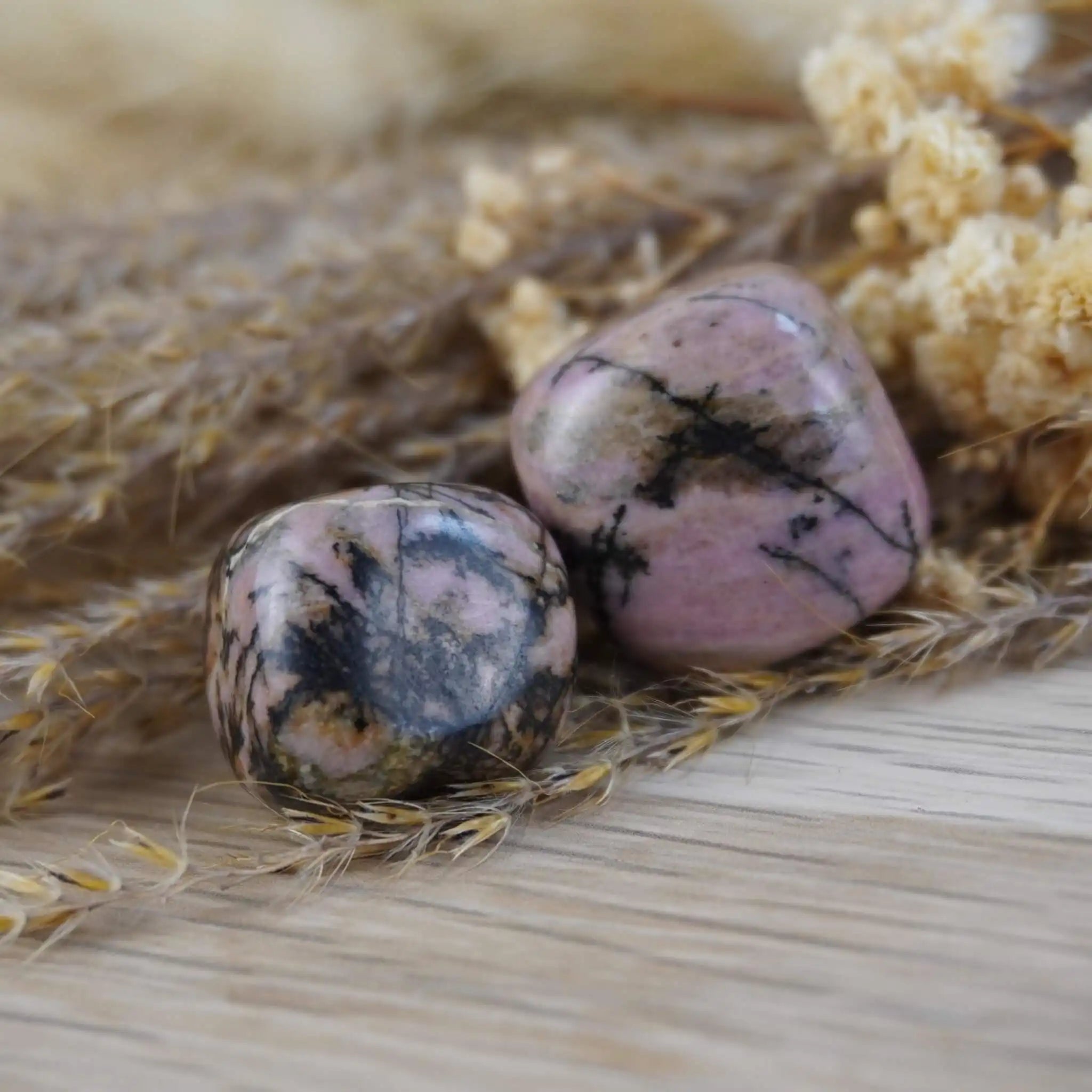 Zwei Rhodonit Trommelsteine zwischen getrockneten Naturpflanzen