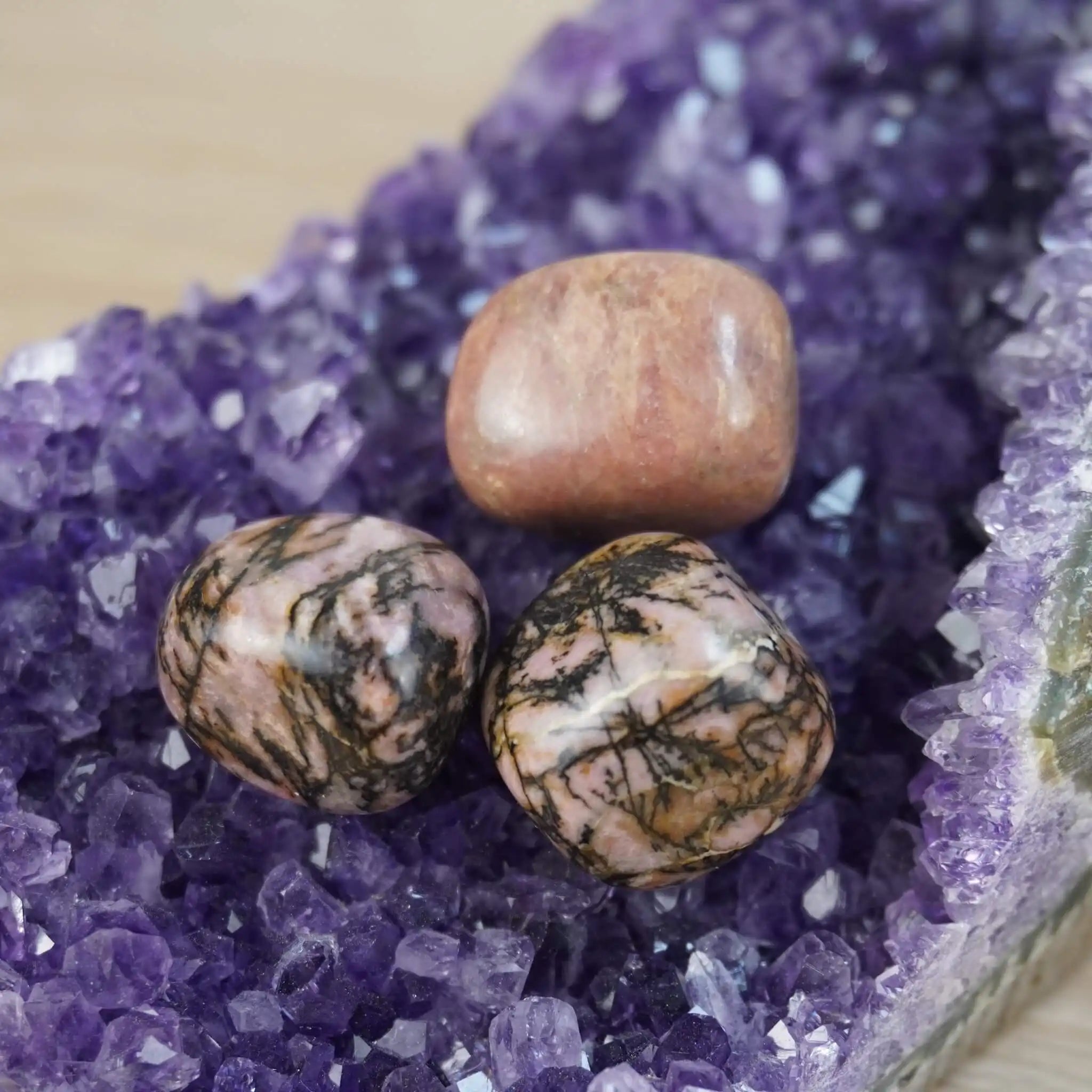 Rhodonit Trommelsteine dekorativ auf einer Amethystdruse