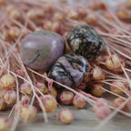 Rhodonit Trommelsteine zwischen rosa Trockenblüten
