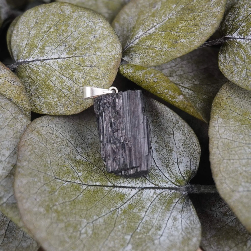 Roher schwarzer Turmalin Kettenanhänger dekoriert auf grünen Eukalyptusblättern