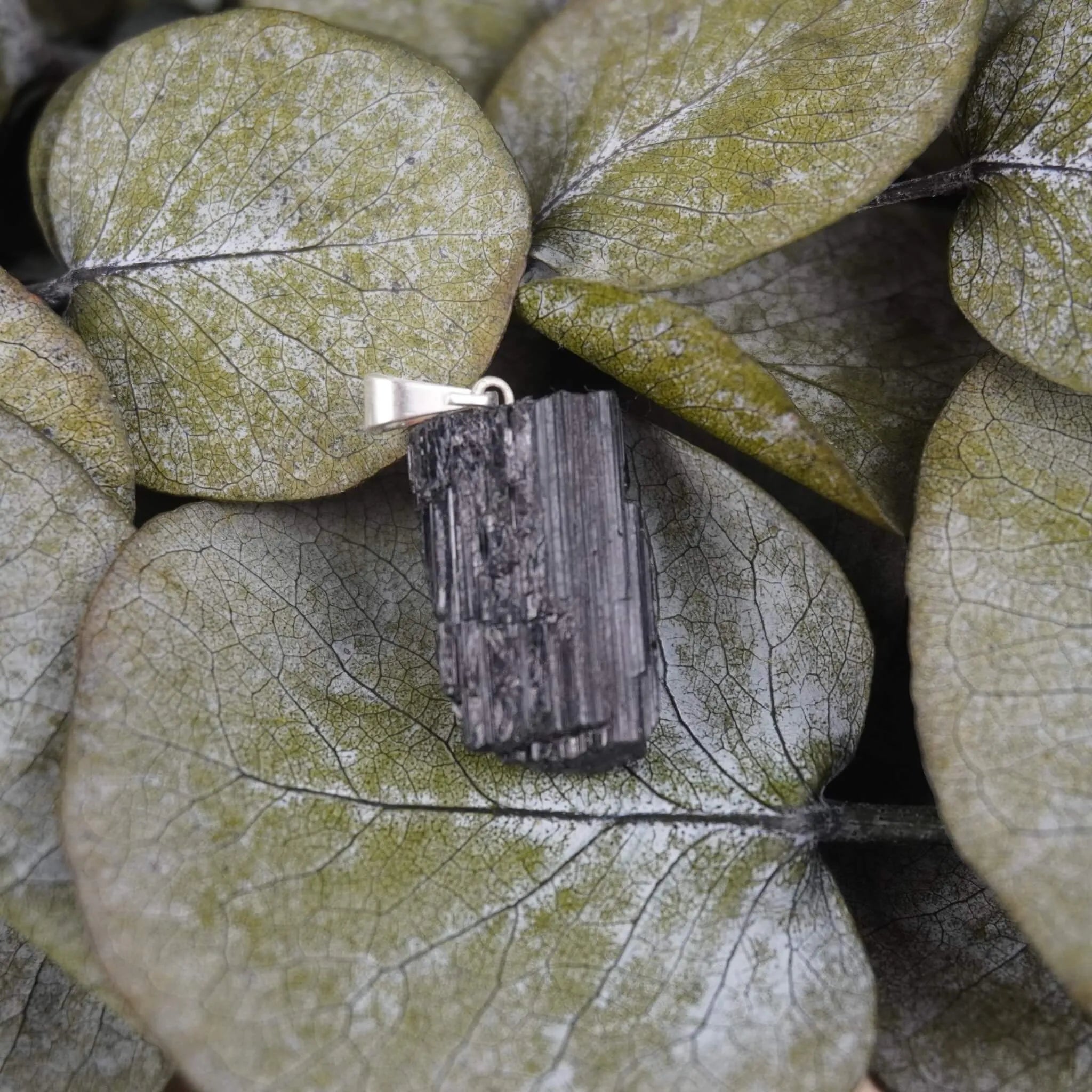 Roher schwarzer Turmalin Kettenanhänger dekoriert auf grünen Eukalyptusblättern