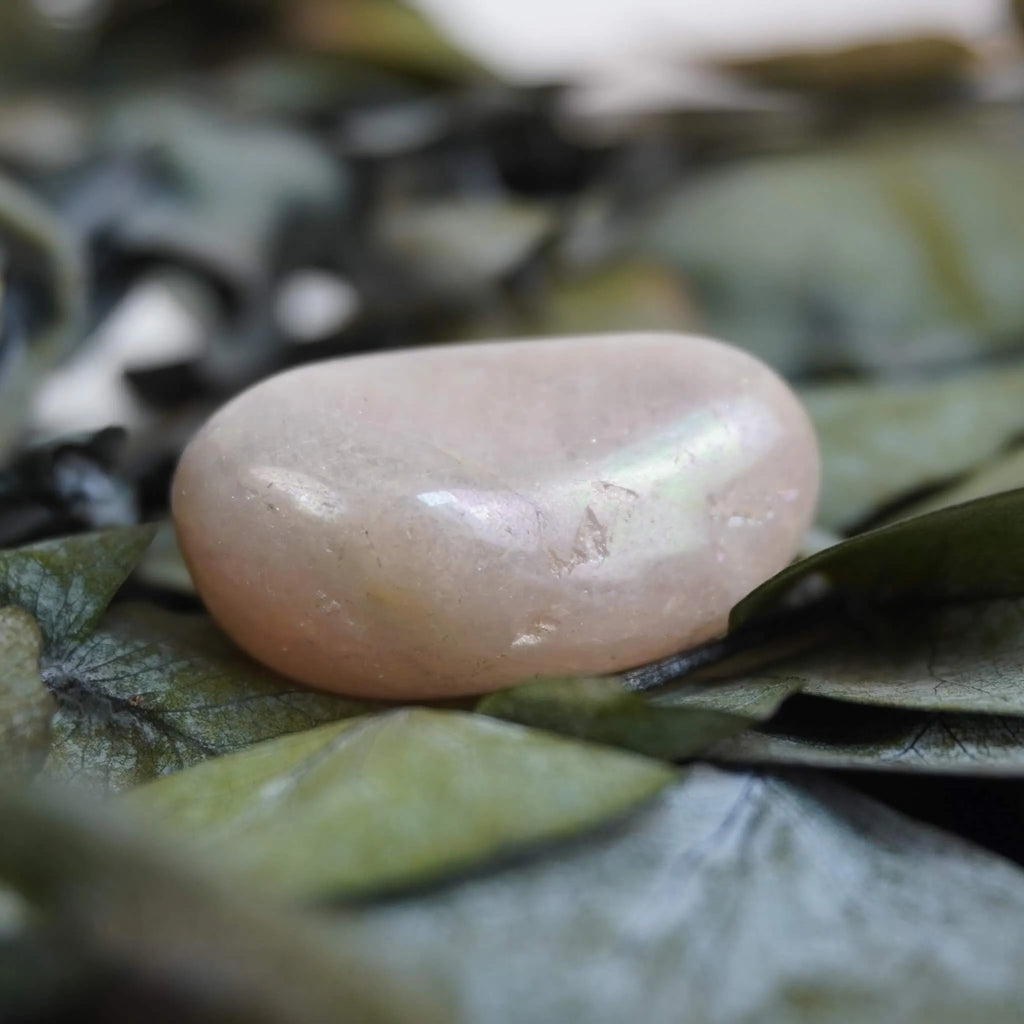 Rosa Angel Aura Trommelstein mit schillernder Oberfläche auf grünen Eukalyptusblättern