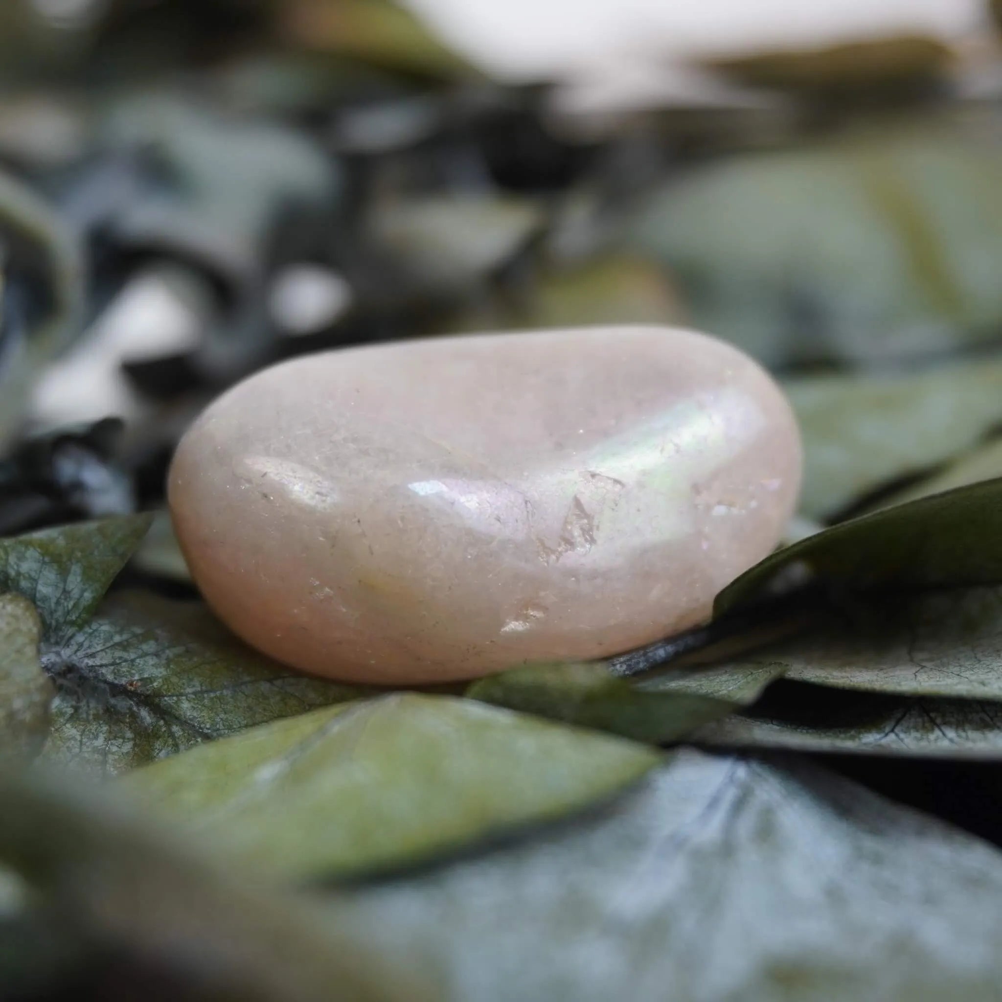 Rosa Angel Aura Trommelstein mit schillernder Oberfläche auf grünen Eukalyptusblättern