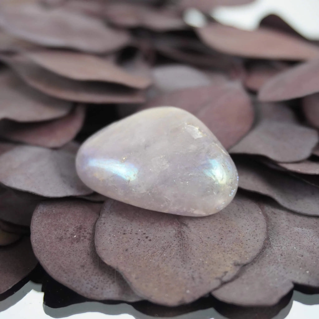 Rosa Angel Aura Trommelstein mit zartem Regenbogenschimmer auf lila Trockenblättern