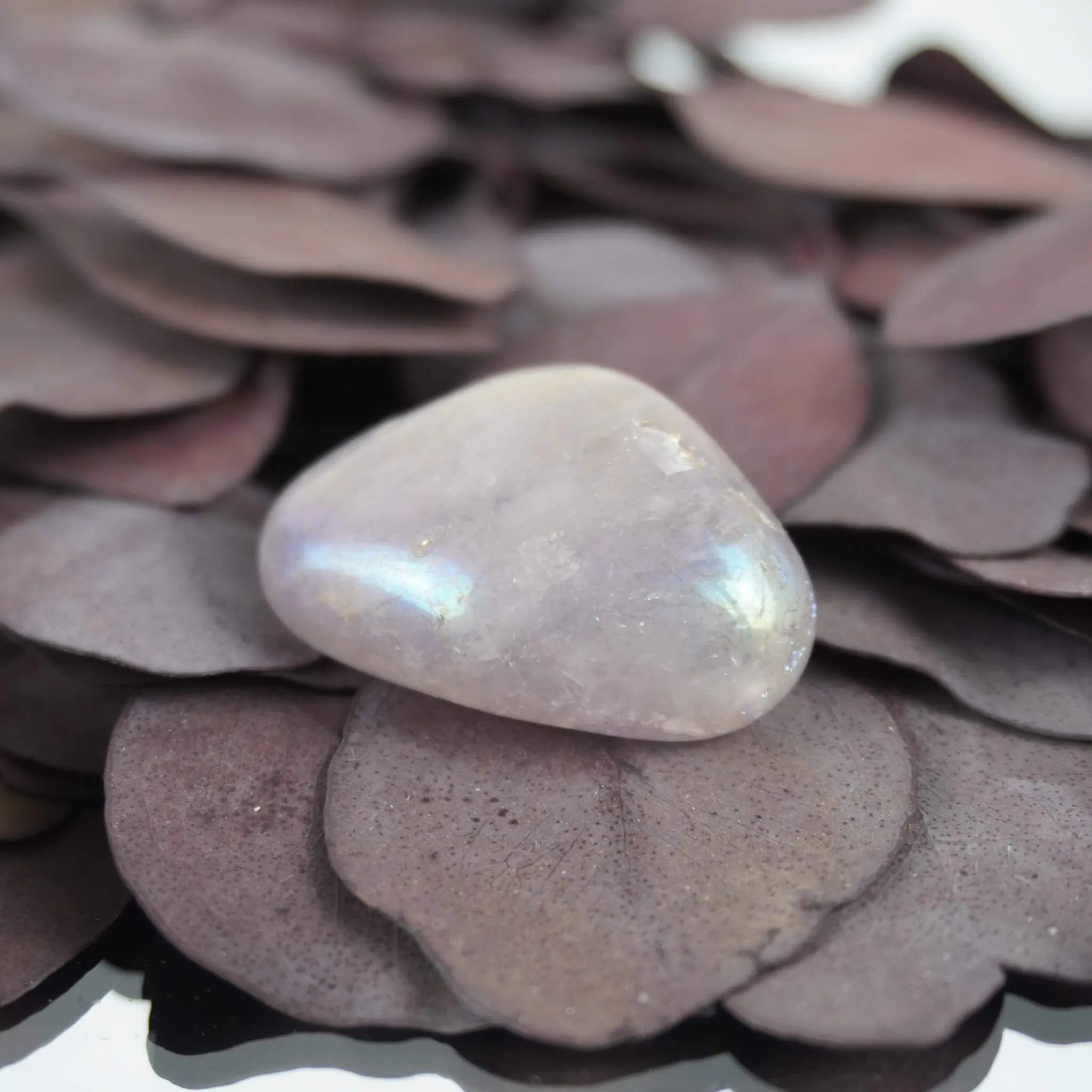 Rosa Angel Aura Trommelstein mit zartem Regenbogenschimmer auf lila Trockenblättern