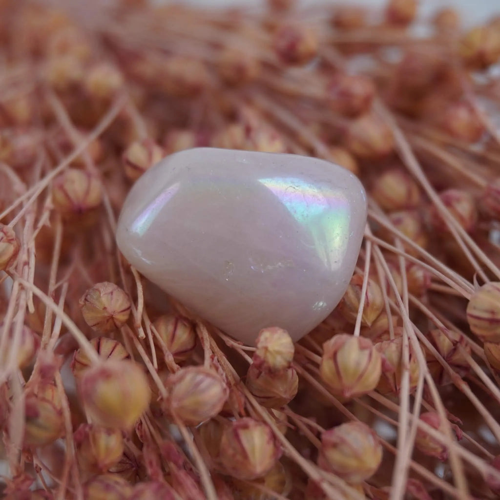 Rosa Angel Aura Trommelstein mit Regenbogenreflexen auf rosa Trockenblumen