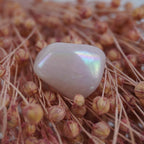 Rosa Angel Aura Trommelstein mit Regenbogenreflexen auf rosa Trockenblumen