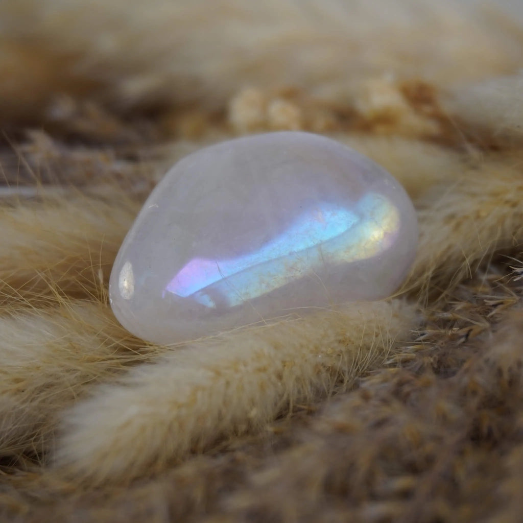 Rosa Angel Aura Trommelstein mit Regenbogen-Schimmer auf beigen Ziergräsern arrangiert