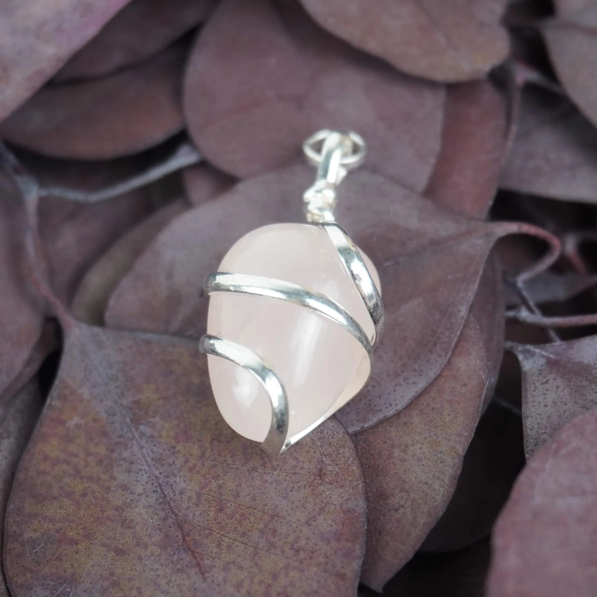 Rosenquarz Kettenanhänger mit silberner Spiralfassung auf lila Eukalyptusblättern