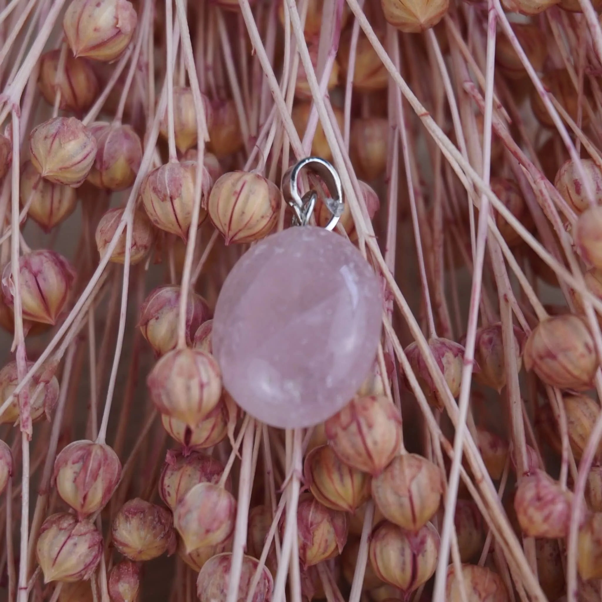 Rosenquarz Kettenanhänger mit silberfarbener Öse vor rosa Trockenblumen