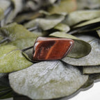 Roter Tigerauge Trommelstein mit warmem Schimmer auf grünen Eukalyptusblättern