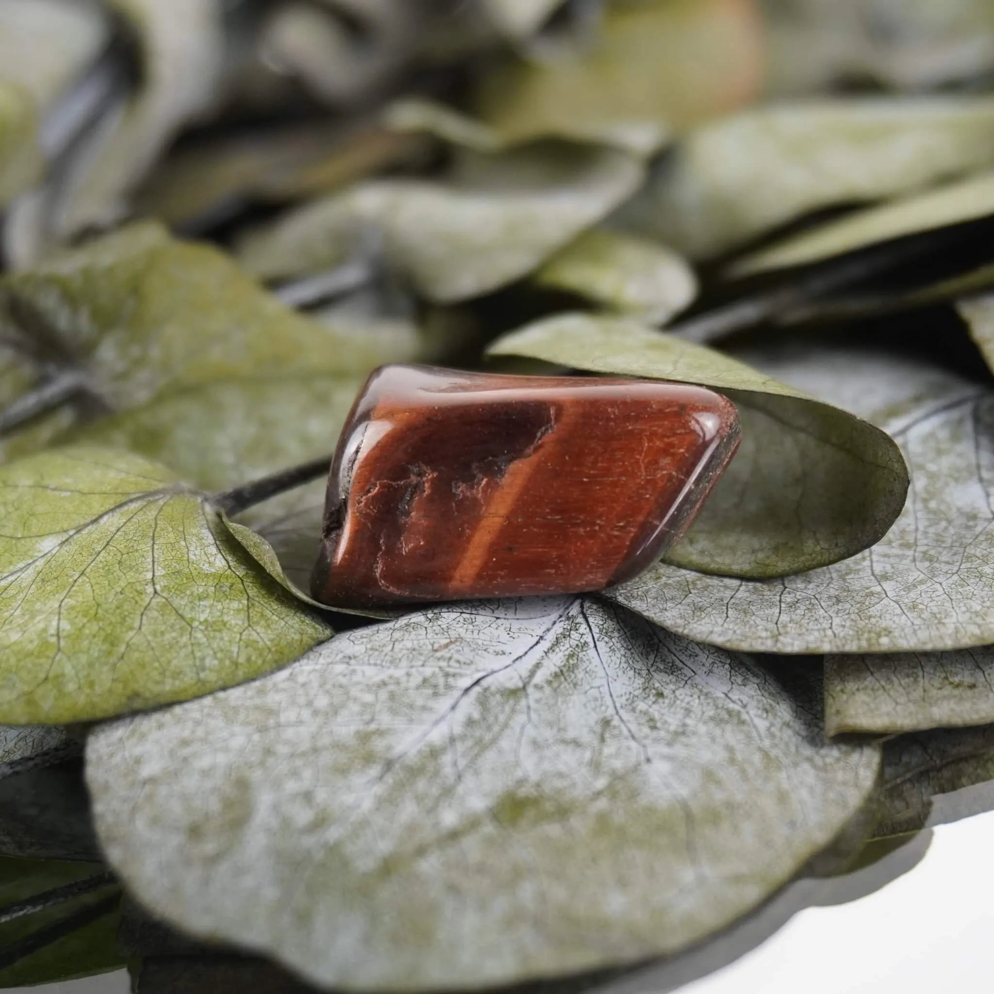 Roter Tigerauge Trommelstein mit warmem Schimmer auf grünen Eukalyptusblättern