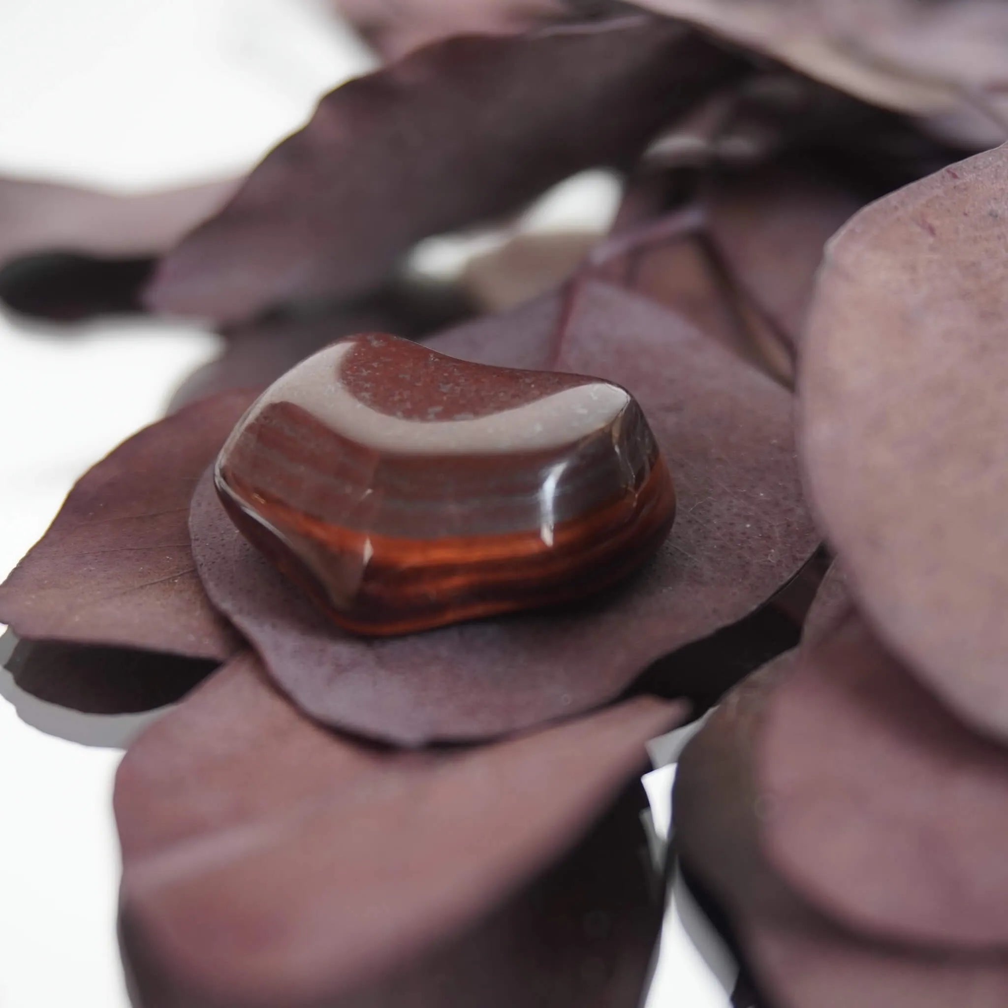 Glänzender roter Tigerauge Trommelstein auf dunkellila Trockenblättern