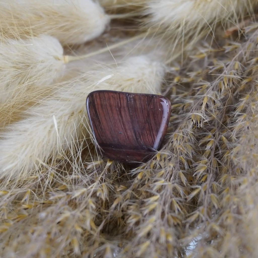 Roter Tigerauge Trommelstein arrangiert auf beigen Ziergräsern