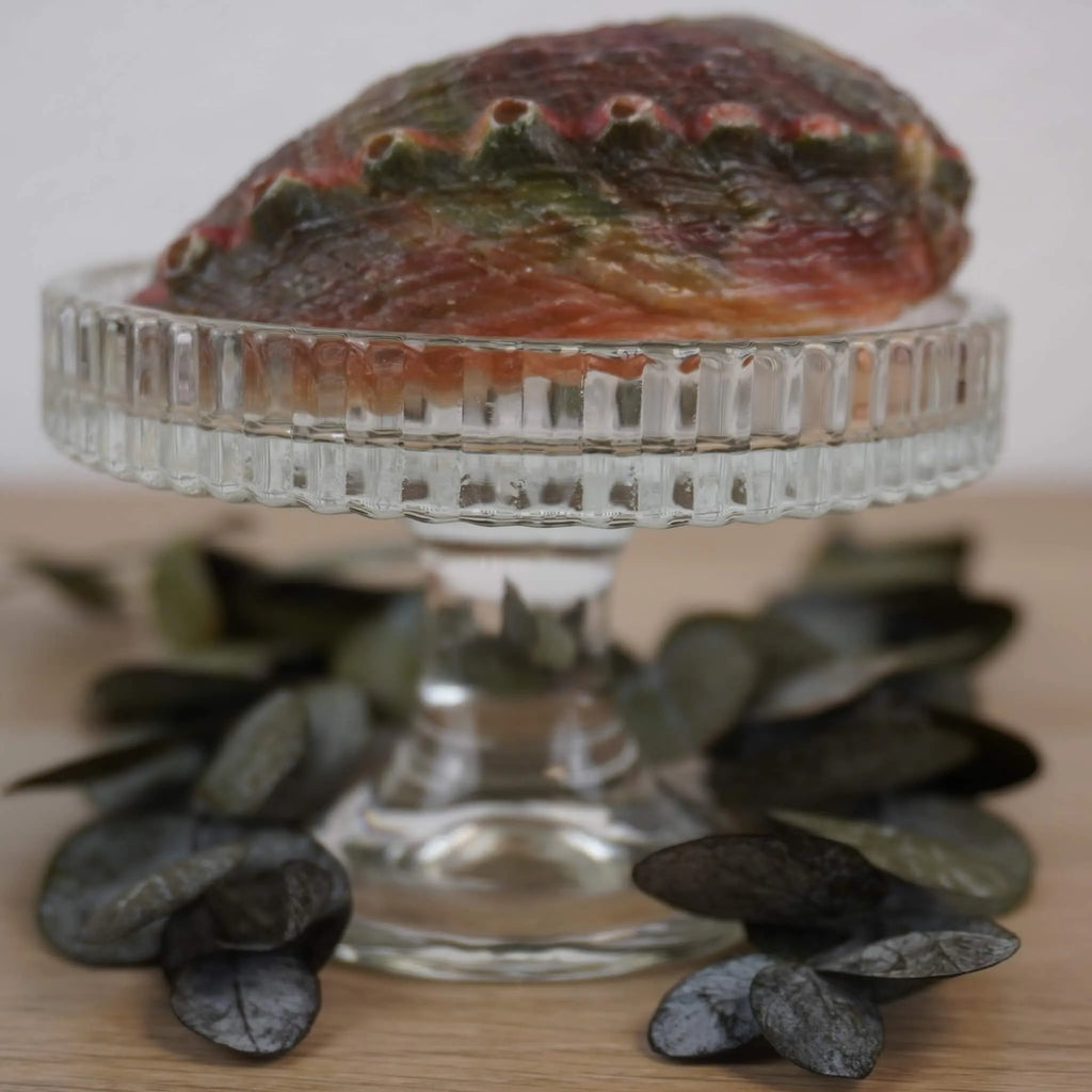 Rückseite Abalone Muschel auf gläsernem Ständer dekoriert mit Eukalyptus