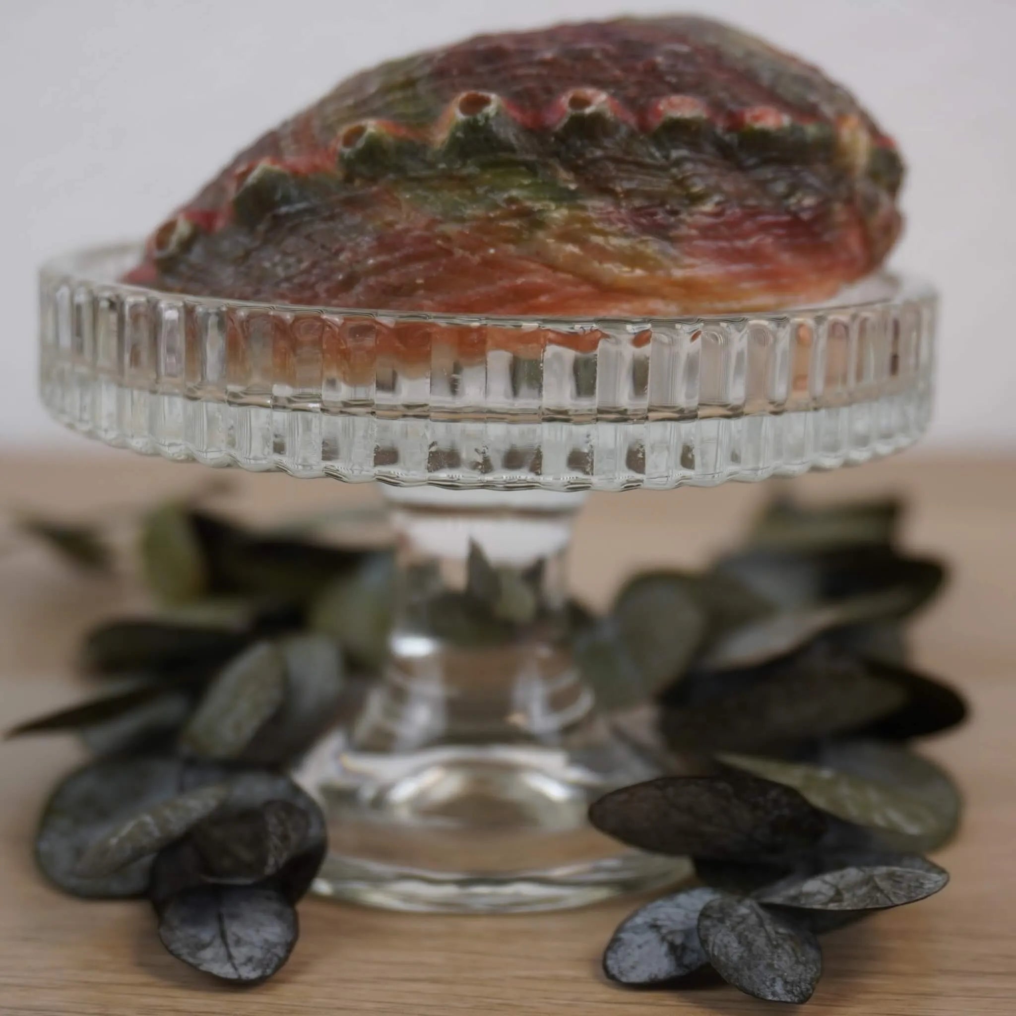 Rückseite Abalone Muschel auf gläsernem Ständer dekoriert mit Eukalyptus