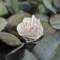 Sandrose Mineral präsentiert auf grünen Eukalyptusblättern