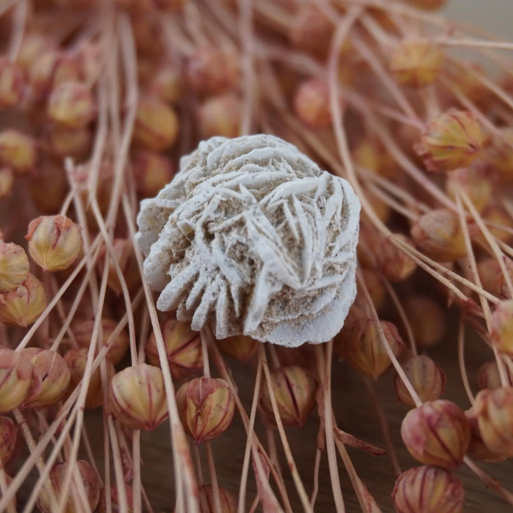 Sandrose Mineral auf rosa getrockneten Gräsern arrangiert