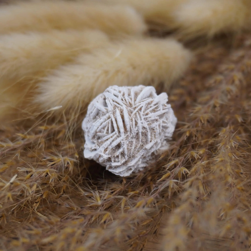 Sandrose Mineral dekoriert auf beigen flauschigen Trockenpflanzen