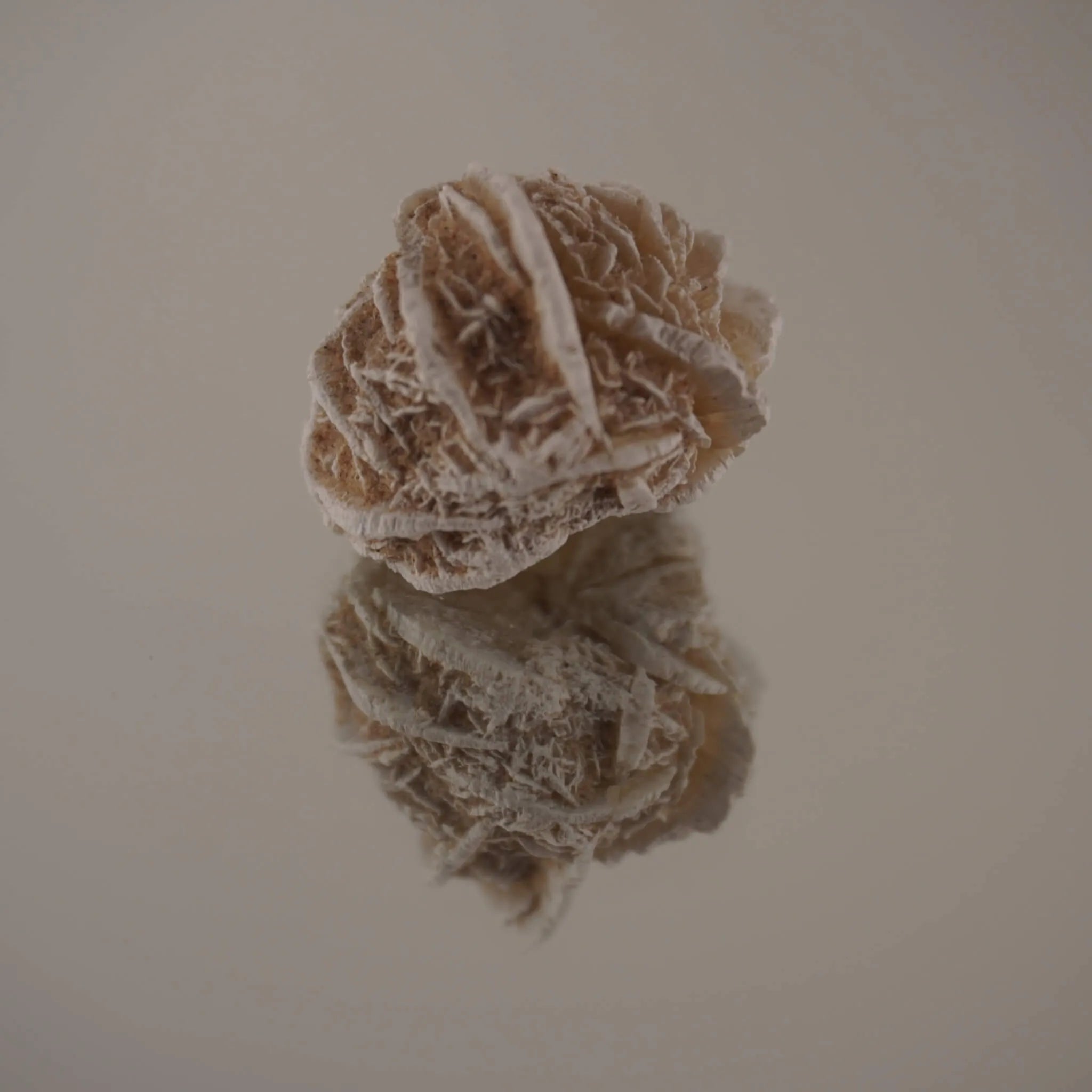 Sandrose Gestein mit deutlicher Spiegelung auf glänzender Oberfläche