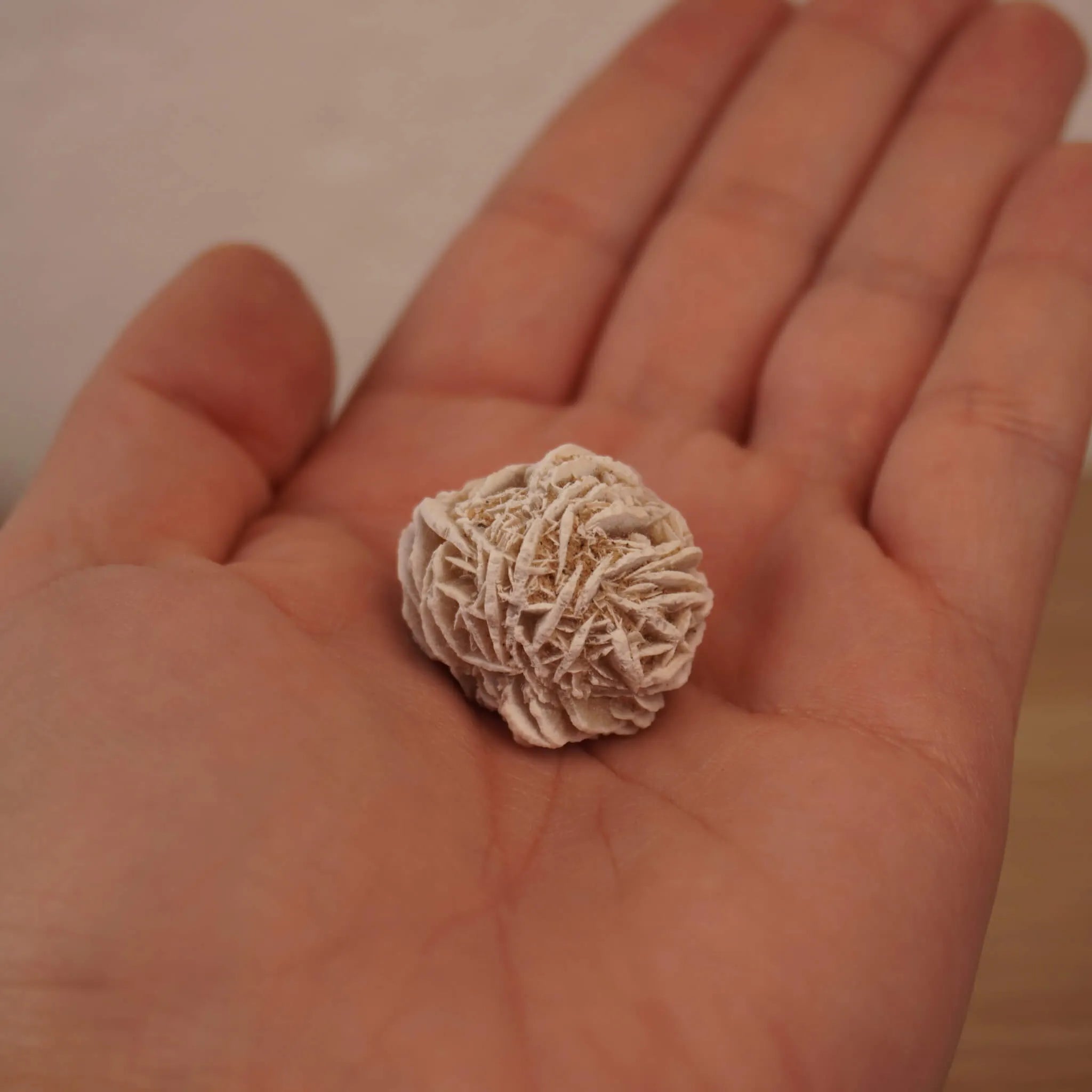 Sandrose Mineral als kleine Kugel in einer geöffneten Hand