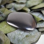 Schungit Trommelstein mit spiegelnder Oberfläche auf grünen Eukalyptusblättern