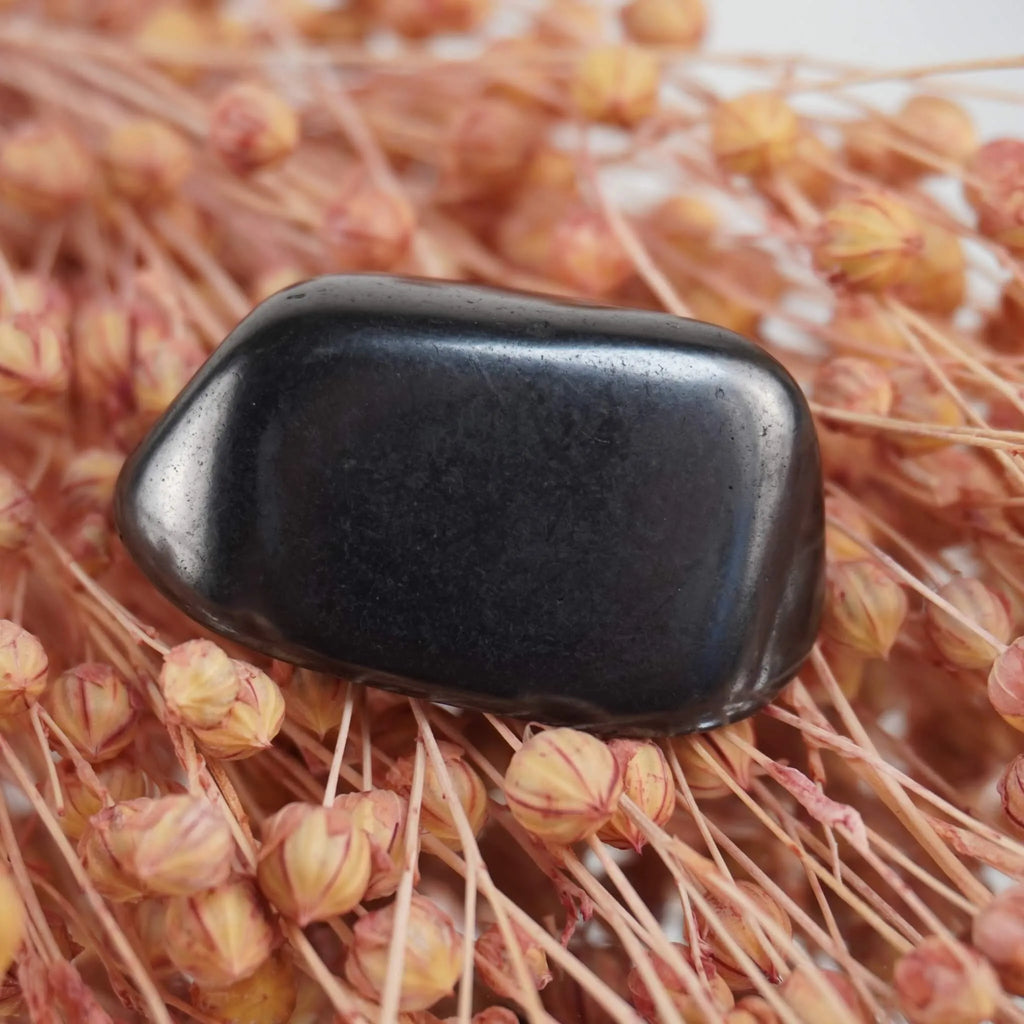 Schungit Trommelstein auf rosa Trockenblumen arrangiert