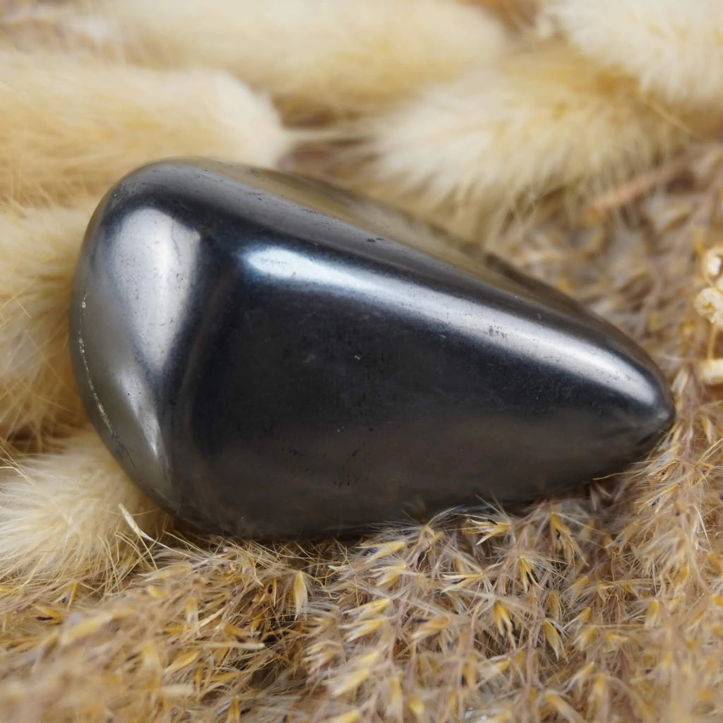 Glatter Schungit Trommelstein dekoriert auf beigen Trockenpflanzen