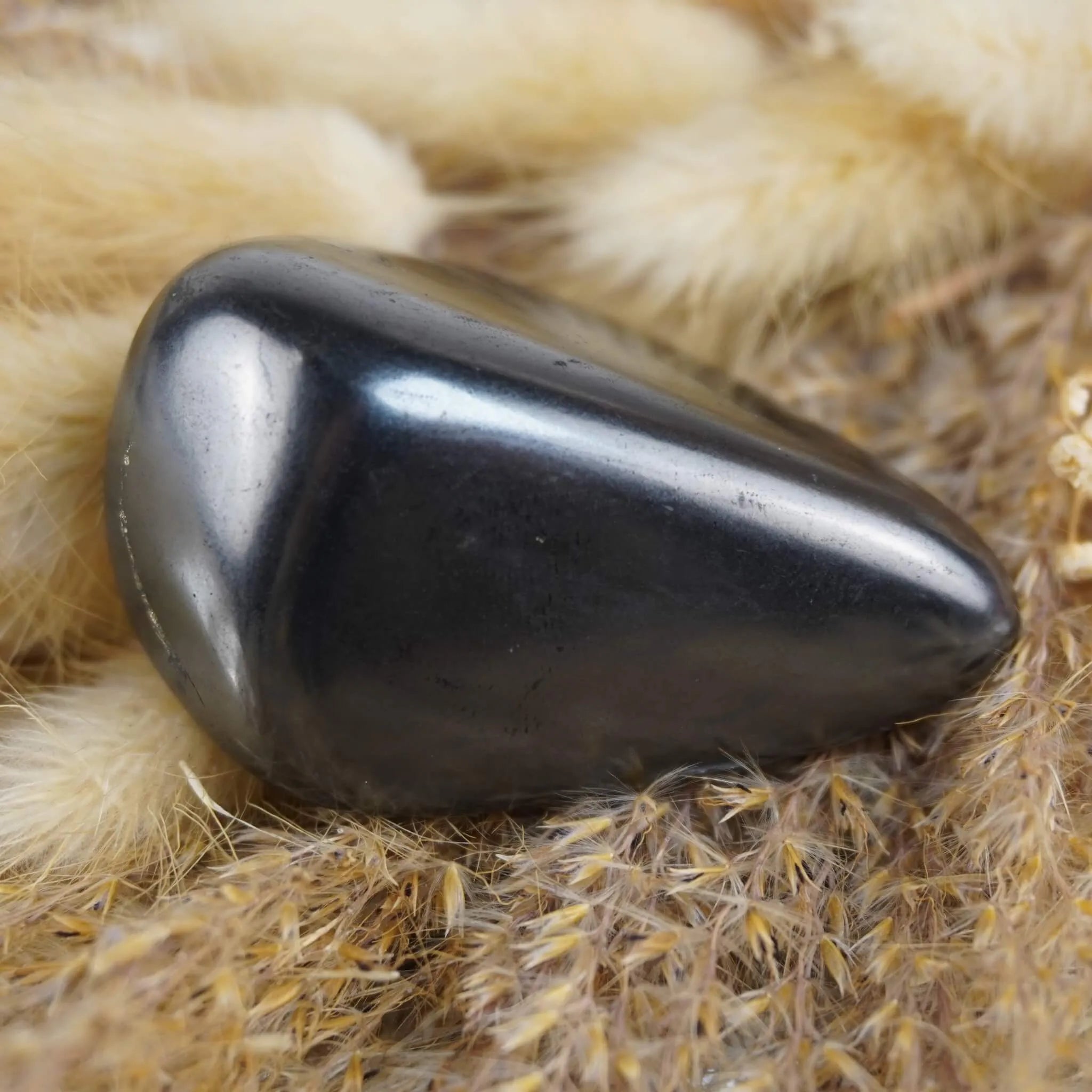 Glatter Schungit Trommelstein dekoriert auf beigen Trockenpflanzen