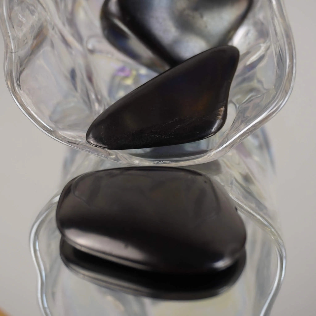Zwei schwarze Schungit Trommelsteine in transparenter Glasschale mit Spiegelung darunter