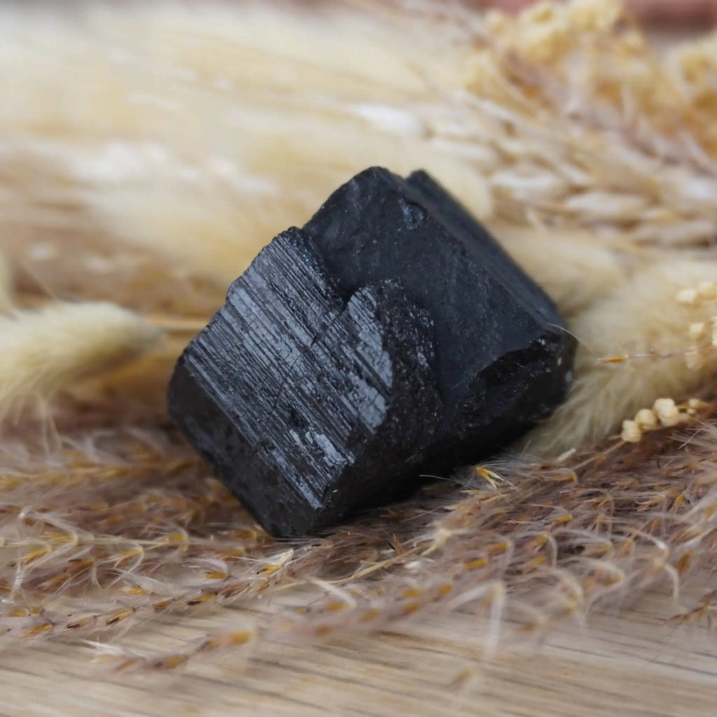 Schwarzer Turmalin Rohstein auf Holz mit getrocknetem Gras arrangiert