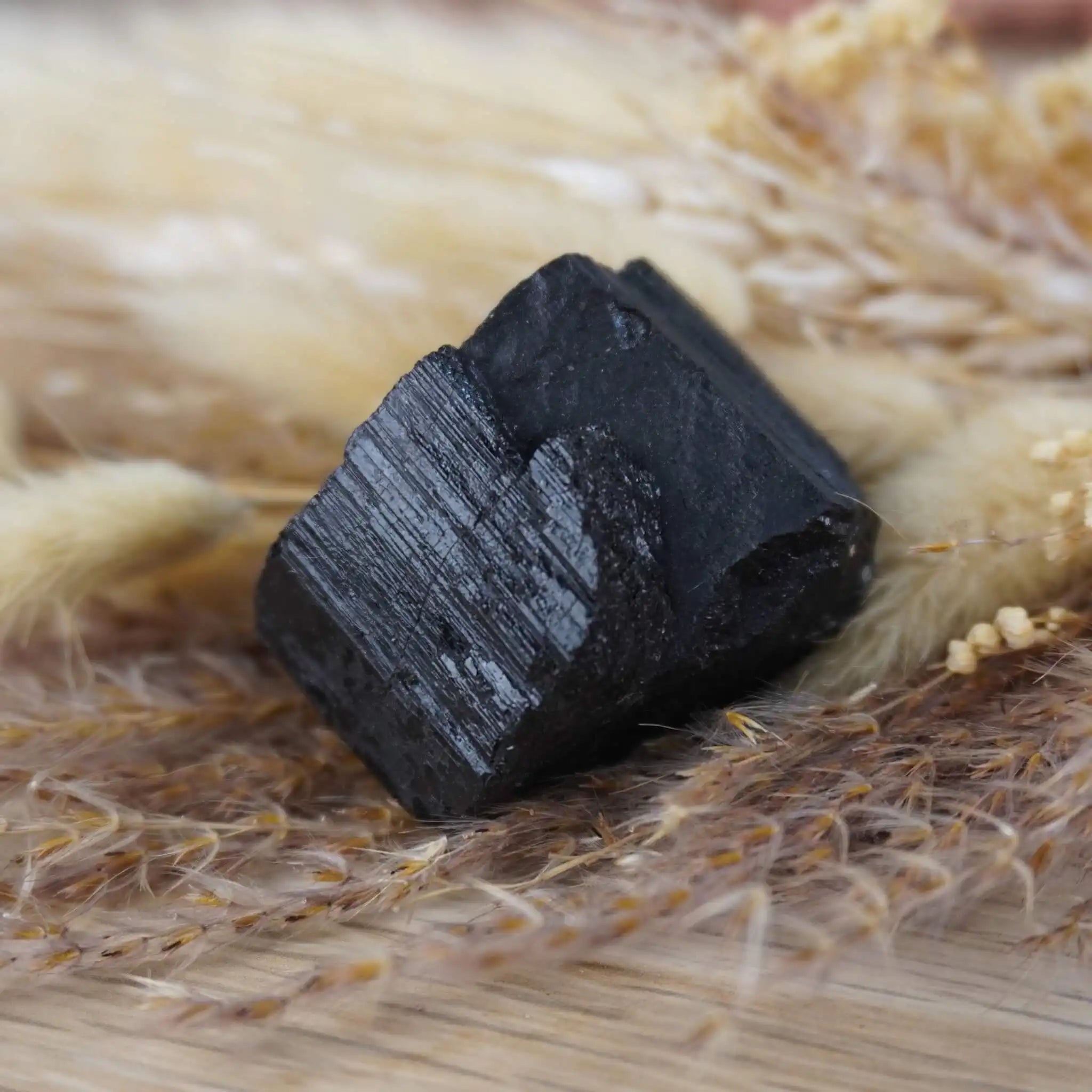 Schwarzer Turmalin Rohstein auf Holz mit getrocknetem Gras arrangiert